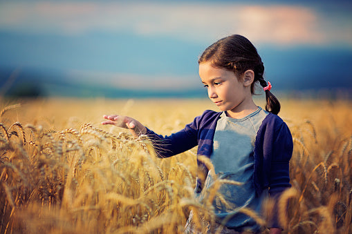 How To Introduce Wheat To Baby